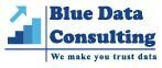 Blue Data Consulting